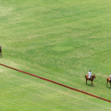 POLO AND LEADERSHIP, Riding Complexity with Clarity, Trust, and Purpose