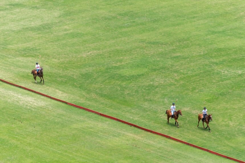 POLO AND LEADERSHIP, Riding Complexity with Clarity, Trust, and Purpose